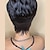 cheap Human Hair Capless Wigs-Pixie Cut Wig Human Hair Short Bob Wigs for Black Women Human Hair  Wig None Lace Front Wig with Bangs Layered Full Machine Made Wig 1B Color