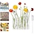 ieftine Vase &amp; Coșuri-vază de flori cu balamale, 2023 nou set de vaze de flori pliabile creativ, vază de flori pliabilă cu design cu balamale, tub de testare din sticlă de cristal cu formă schimbabilă cu 6/8 eprubete și