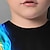ieftine tricouri 3d pentru băieți-Băieți 3D Grafic Fotbal Fum Tricou Manșon Lung Tipărire 3D Vară Primăvară Toamnă Sport Modă Șic Stradă Poliester Copii 3-12 ani În aer liber Casual Zilnic Fit regulat