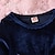 cheap Dresses-Toddler Girls&#039; Dress Star Moon Long Sleeve Outdoor Mesh Fashion Daily Polyester Mini Velvet Dress Casual Dress Tulle Dress Fall Winter 3-7 Years Blue