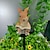 cheap Sculpture &amp; Landscape Lights-Solar Animal Lamp Outdoor Bunny Garden Waterproof Lamp Resin Handicraft Landscape