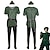 cheap Movie &amp; TV Theme Costumes-Peter Pan &amp; Wendy Fairytale Peter Pan Men&#039;s Women&#039;s Boys Movie Cosplay Halloween Carnival Masquerade Shirt Pants Accessory Set