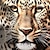 economico magliette 3d da ragazzo-Da ragazzo 3D Pop art Animali Leopardo maglietta T-shirt Manica corta Stampa 3D Estate Primavera Attivo Sportivo Di tendenza Poliestere Bambino 3-12 anni Esterno Informale Giornaliero Standard