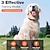 זול אילוף כלבים-אילוף כלבים קולר הלם לכלבים עם שלט חשמלי 3 מצבים רטט צפצוף כלבים עמיד למים נטענת פלסטי עזרי התנהגות אימוני ציות עבור חיות מחמד