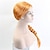 billige Kostumeparykker-shrek kvinder prinsesse fiona paryk monster finona rollespil orange flettet hår paryk