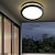 cheap Ceiling Lights-outdoor ceiling lamp waterproof and insect-proof balcony garden gazebo entrance door corridor aisle outdoor eaves ceiling lamp