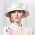 cheap Party Hats-Hats Fiber Bowler / Cloche Hat Bucket Hat Straw Hat Casual Holiday Classic Sun Protection With Ribbon Tie Headpiece Headwear