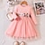 cheap Dresses-Kids Girls&#039; Dress Sweater Dress Floral Long Sleeve Outdoor Mesh Embroidered Fashion Cute Streetwear Cotton Knee-length Sweater Dress Knit Dress Casual Dress Spring Fall 3-7 Years Pink