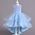 cheap Party Dresses-Flower Girl&#039;s Dress Solid Color Sleeveless Wedding Special Occasion Sequins Mesh Fashion Adorable Elegant Polyester Maxi Party Dress Feather Dress Swing Dress Summer Spring 3-13