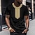 お買い得  男性の 3d t シャツ-男性用 Tシャツ グラフィック カラーブロック トライバル クルーネック 衣類 3Dプリント アウトドア 日常 半袖 プリント ファッション デザイナー エスニック