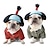billiga Kostymer-Hund Katt Halloweendräkter Dräkter / Kostymer Halloween outfit Cosplay Rolig Vinter Mjuk Tvättbar Bekväm Halloween Utomhus Halloween Ledigt / vardag Hundkläder for Bichon Frisé Pommeran valpen eller