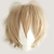 abordables Perruques de déguisement-unisexe cosplay courte perruque de cheveux raides femmes mens cool style moelleux anime con robe de soirée perruques synthétiques lin blond