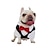 levne Oblečky pro psy-malý oblek oblek šaty svatební luk formální místo falešné tři kusy