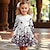 cheap Girl&#039;s 3D Dresses-Girls&#039; 3D Graphic Floral Dress Long Sleeve 3D Print Summer Spring Fall Sports &amp; Outdoor Daily Holiday Cute Casual Beautiful Kids 3-12 Years Casual Dress A Line Dress Above Knee Polyester Regular Fit