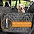 ieftine Interior DIY Auto-tampon pentru câini pentru mașină starfire, anti murdărie și impermeabil, pentru spate pentru animale de companie.