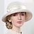 voordelige Feesthoeden-hoeden bolhoed / cloche hoed emmerhoed strohoed casual vakantie klassiek zonbescherming met strikband hoofddeksel hoofddeksel