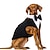 abordables Vêtements pour chiens-costume triangle écharpe robe cadeau de mariage grand chien beau nœud papillon personnalité