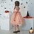 cheap Dresses-Toddler Girls&#039; Dress Leaf Witch costume kids halloween custome Short Sleeve Wedding Party Outdoor Sequins Mesh Embroidered Fashion Cute Cotton Blend Knee-length Sequin Dress Party Dress Swing Dress