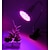 Недорогие Освещение для роста растений-Светодиодный светильник для выращивания растений e27, фитолампа для растений, передвижная зажимная лампа для растений, фитолампа для выращивания семян, цветов, палатка