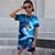 abordables ensembles 3d de garçon-Garçon 3D Graphic Animal Dragon T-shirt &amp; Short Ensemble tee-shirt Ensemble de Vêtements Manche Courte 3D effet Eté Printemps Actif Sportif Mode Polyester Enfants 3-13 ans Extérieur Plein Air Vacances