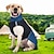 Недорогие Одежда для собак-Товары для домашних животных, твердый костюм для собак, одежда для собак по цвету, дождевик для собак, водостойкая светоотражающая водонепроницаемая одежда для собак