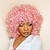 cheap Synthetic Trendy Wigs-Short Curly Wigs for Black Women Soft Brown Blonde Big Curly Wig with Bangs Afro Kinky Curls Heat Resistant Daily Synthetic Wig for African American Women