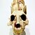 billige Figuriner &amp; dekorationer-skræmmende kat skelet halloween plast kat skelet halloween dekoration udendørs halloween dekoration beige