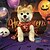 economico Costumi-Cane Gatto Vestito Carino Casual Traspirante Morbido Lavabile Confortevole Halloween Casual Quotidiano Abbigliamento per Cani for Bichon Frisé Volpino di Pomerania Cucciolo Papillon Piccolo