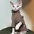 billiga Hundkläder-hårlösa kattkläder sfinx höst/vinter termisk underull devon konis lockiga höst/vinterkläder