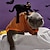 tanie Ubrania dla psów-kostiumy na halloween dla kota pies i kot halloween z transformacją kota spersonalizowana i zabawna odzież dla zwierząt top dla zwierząt