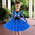 cheap Girl&#039;s 3D Dresses-Girls&#039; 3D Graphic Butterfly Dress Long Sleeve 3D Print Summer Fall Sports &amp; Outdoor Daily Holiday Cute Casual Beautiful Kids 3-12 Years Casual Dress A Line Dress Above Knee Polyester Regular Fit