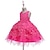 Χαμηλού Κόστους Φορέματα-Νήπιο Κοριτσίστικα Φόρεμα για πάρτυ Φλοράλ Αμάνικο Επίσημο Επίδοση Γάμου Δίχτυ Κεντητό Μοντέρνα χαριτωμένο στυλ Πριγκίπισσα Σατέν Πολυεστέρας Ως το Γόνατο