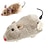 abordables Jouets pour chats-Jouet interactif avec Exercice pour animaux de compagnie Relâcher la pression pour Petit Chat Intérieur Jeu d&#039;animaux