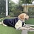 preiswerte Hundekleidung-Baseballanzug, Haustierkleidung, mittelgroßer bis großer Hund, goldenes Fell, Labrador-Hundekleidung, Herbst- und Winterkleidung, dick, 2023 neu