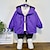 cheap Outerwear-Kids Boys Raincoat Outerwear Solid Color Long Sleeve Zipper Coat Outdoor Sports Fashion Daily Black Purple Fall Winter 7-13 Years