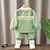 cheap Sets-3 Pieces Toddler Boys Jacket &amp; Pants Outfit Color Block Letter Long Sleeve Zipper Cotton Set Outdoor Fashion Cool Daily Spring Fall 3-7 Years Green Gray