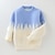 cheap Sweaters &amp; Cardigans-Kids Boys Sweater Color Block Long Sleeve Outdoor Fashion White Fall Clothes 7-13 Years