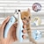 זול ציוד טיפוח לכלבים-כלבים חתולים מצרכים לחיות מחמד מתכת אל חלד ABS + PC קוצץ ציפורניים מסג&#039; קל לנקות חיות מחמד חומרי טיפוח ורוד כחול קפה