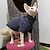Недорогие Одежда для собак-Одежда для лысых кошек, сфинкс, осенне-зимняя термоподшерсток, девон конис, кудрявая осенне-зимняя одежда