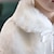 voordelige Bovenkleding-Kinderen Voor meisjes Cape Effen Kleur Modieus Bruiloft jas bovenkleding 3-8 jaar Herfst Wit