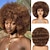halpa Synteettiset trendikkäät peruukit-hiukset afrovalkoiset peruukit mustille naisille liimattomia vaatteita ja go-peruukia 70-luvun lämmönkestävä peruukki synteettinen afroperuukki juhliin ja cosplay-asuihin halloween-peruukit