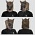 voordelige Maskers-warewolf Halloween Handschoenen / Masker / Hallloween figuren Grappig Eng kostuum Volwassenen Voor heren / Dames Halloween / Carnaval / Mardi Gras Gemakkelijke Halloween-kostuums Aankleden