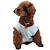 cheap Dog Clothes-Dog T-shirt Pet Clothing Dog Clothing Spring And Summer Pet Dog Clothing Vest T-shirt Cat Clothing