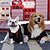 Χαμηλού Κόστους Ρούχα για σκύλους-σκυλί με κουκούλα φθινόπωρο και χειμώνα μικρό μεσαίο και μεγάλο σκυλί αγάπη καρό σκυλί ρούχα πουλόβερ γάτα teddy bomei fadou προμήθειες για κατοικίδια