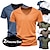preiswerte Lässige T-Shirts für Herren-Herren T Shirt T-Shirt Glatt V Ausschnitt Strasse Urlaub Kurze Ärmel Bekleidung 2St Modisch Designer Basic