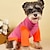 お買い得  犬用服-犬服セータースプライシングコントラストカラー犬トップかわいいテディファドゥ小型犬袖付きハイカラー