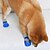 billige Hundetøj &amp; Tilbehør-Hunde Katte Sokker Sport Minimalistisk Afslappet Hverdag Vinter Vandtæt Varm Vaskbar Bekvem udendørs Rejse Afslappet / Hverdag Vandring Hundetøj for Husky Labrador golden retriever Corgi Bichon Frisé