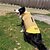 olcso Kutyaruházat-kutyakabát kutyakabát kisállat ruha őszi-téli kutyaruha vízálló kétoldalas hordható kisállat pamut ruha kisállat ruha