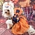 baratos Trajes-Cachorros Gatos Vestidos Estilo bonito Casual Respirável Macio Lavável Confortável dia das Bruxas Casual / Diário Festival Roupas para cães for Bichon Frise Pomerânia Animais de Pequeno Porte