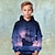 billiga pojkar 3d huvtröjor och tröjor-Pojkar 3D Grafisk Huvtröja Långärmad 3D-tryck Vår Höst Vinter Mode Streetwear Häftig Polyester Barn 3-12 år Utomhus Ledigt Dagligen Normal